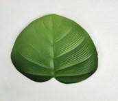Individual  posavaso en forma de hoja