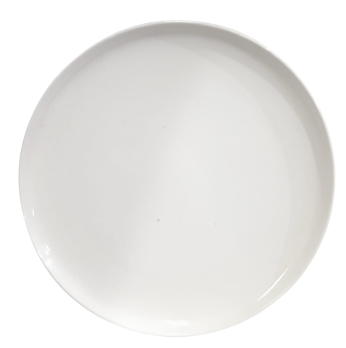 PLATO PLAYO DE  10.5