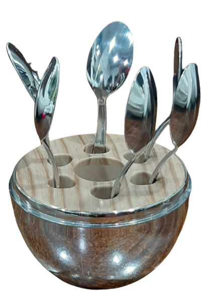 SET ORGANIZADOR