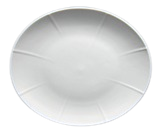 PLATO 8.5