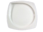 PLATO 4.5