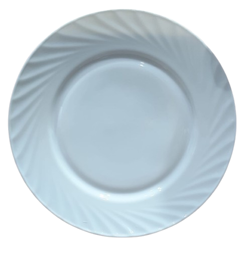 PLATO PRINCIPAL 10