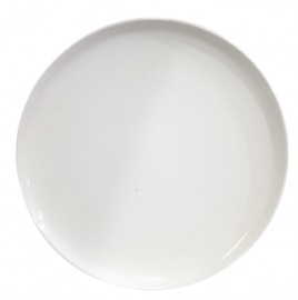 PLATO PLAYO DE  10.5