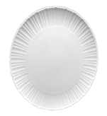 PLATO 6